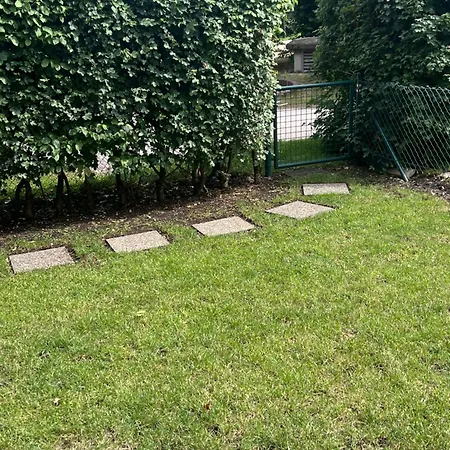 Charmante Mit Terrasse , Ruhig Und Zentral Lägenhet
